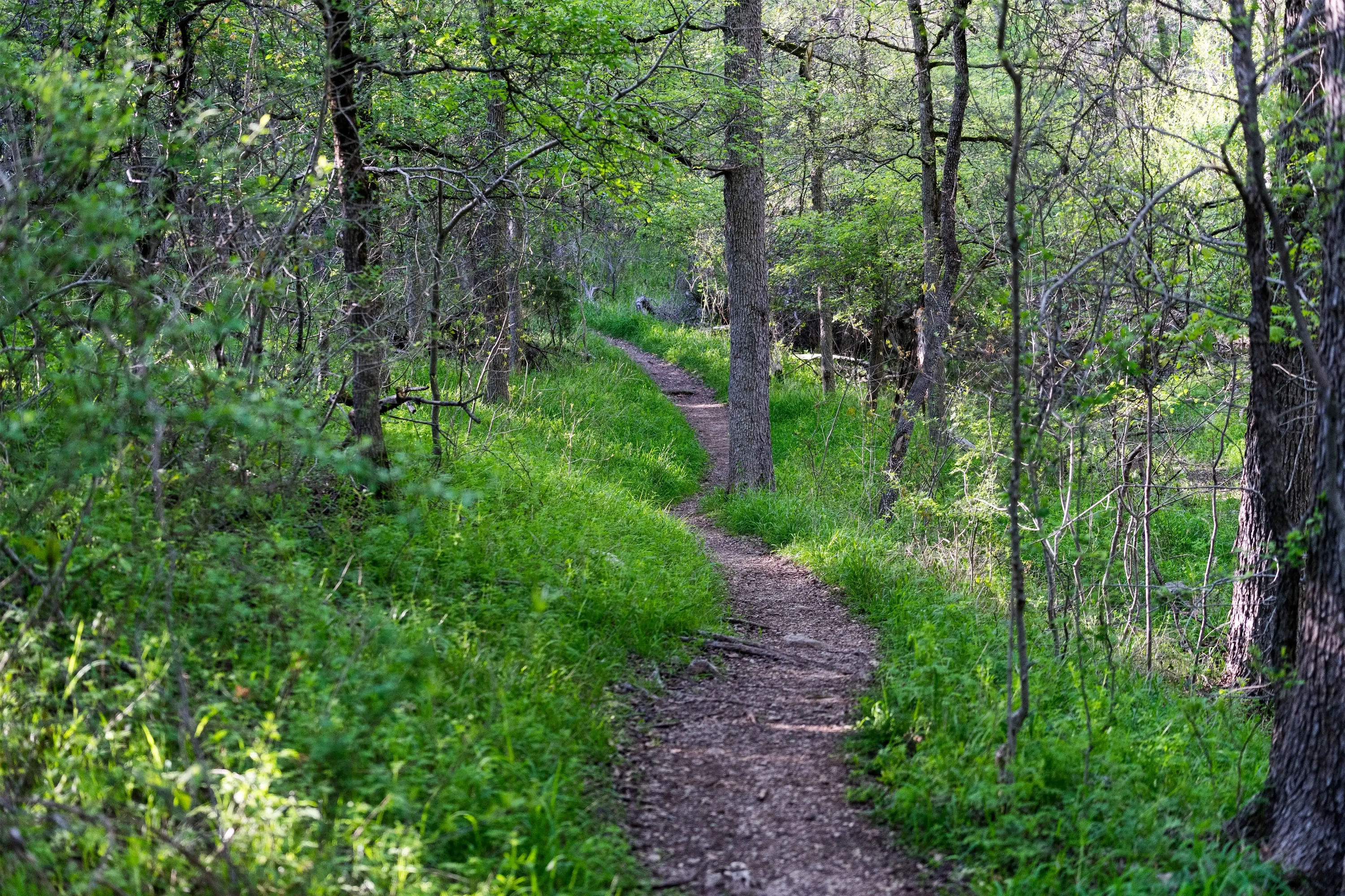 Hidden Trails at Eisenhower State Park