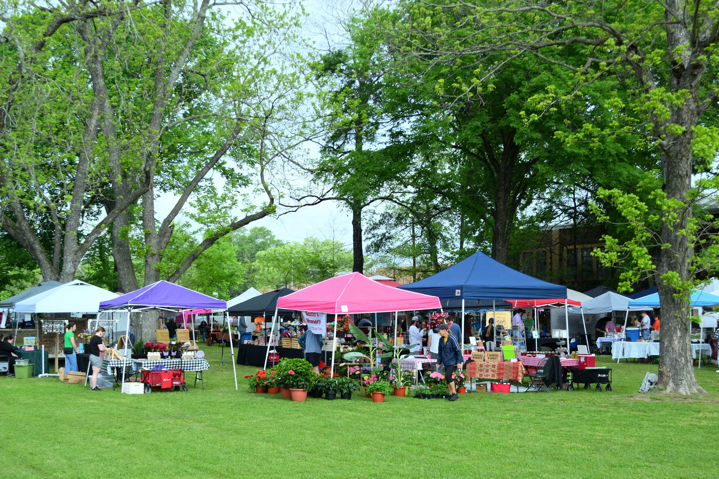 Sherman Farmers Market: A Weekend Essential