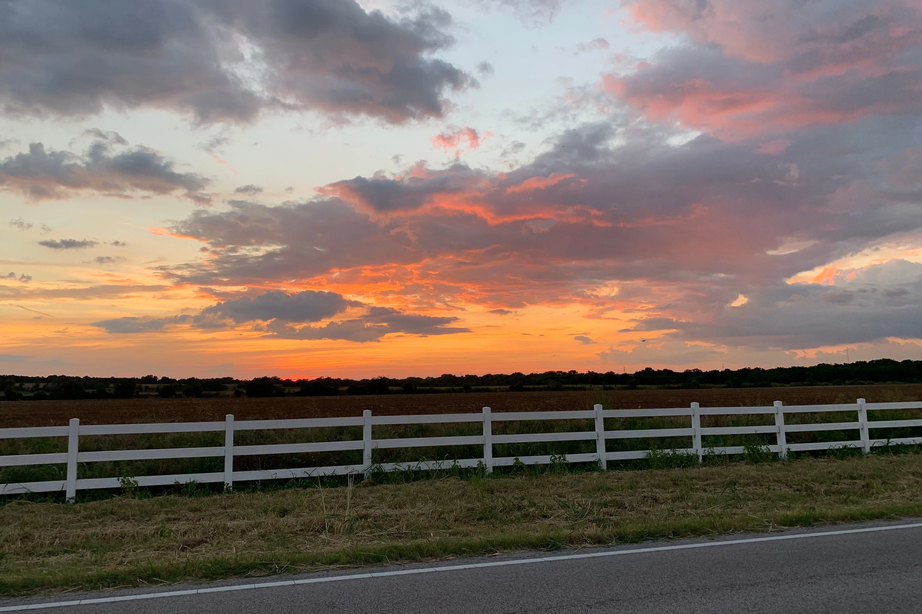 Sunset Views: Taylor's Most Instagrammable Spots